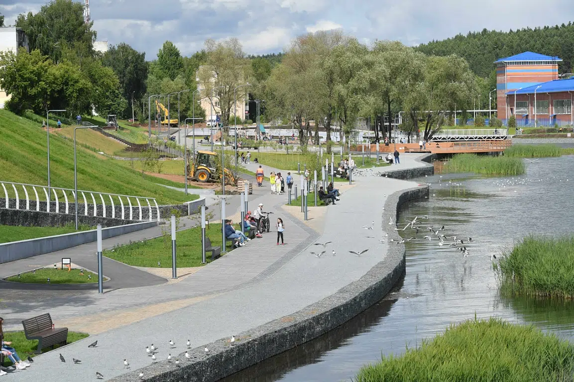 services image